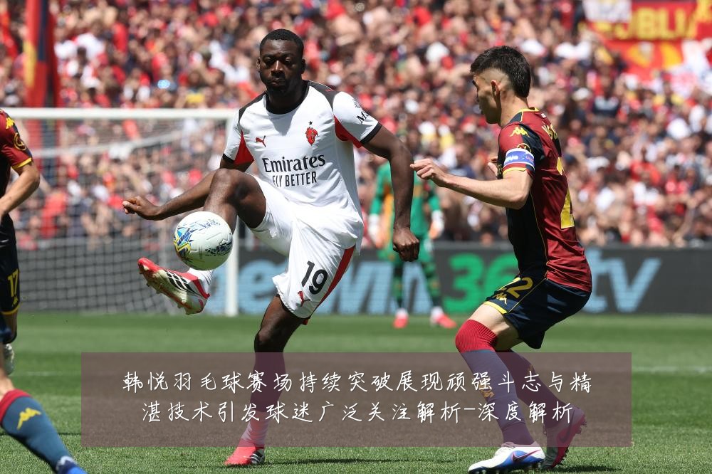 韩悦羽毛球赛场持续突破展现顽强斗志与精湛技术引发球迷广泛关注解析-深度解析